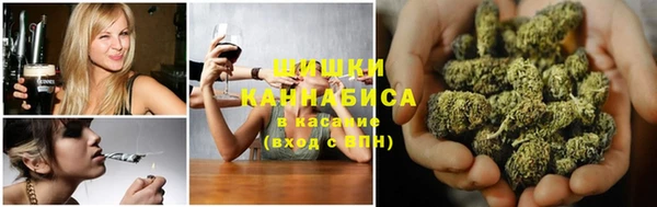 дмт Белокуриха