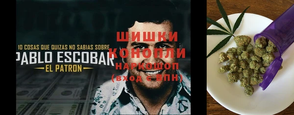 дмт Белокуриха