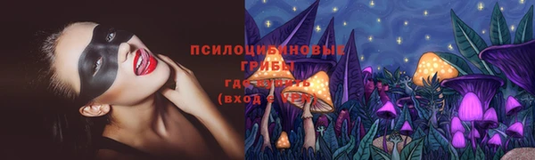 стаф Беломорск