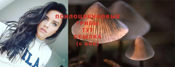 стаф Беломорск